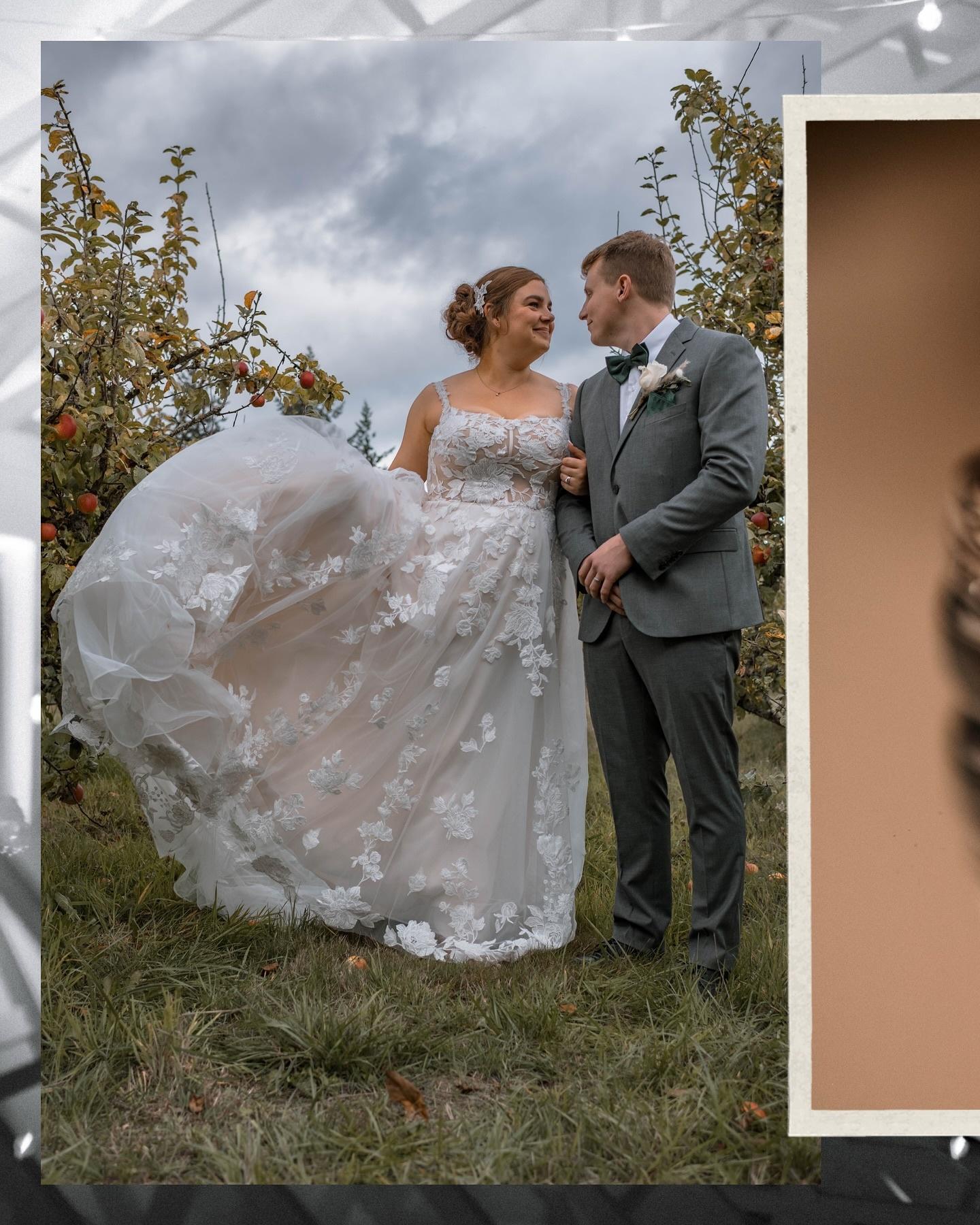 Victoria BC Wedding Photographer, A Day of Laughter, Love, and Good Vibes: An Enchanted Orchard Wedding